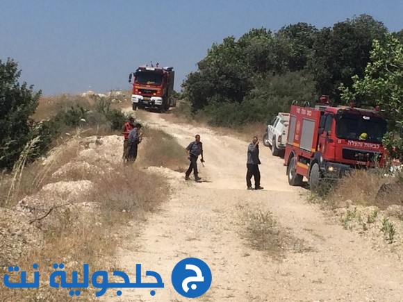 إندلاع حريق هائل في حرش وادي عارة-عيرون وقوات الإطفاء تهرع لإخماده